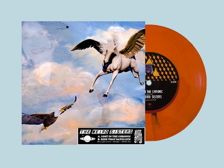 'Lost in the Chronic/Ride That Satellite' 7" Vinyl (Random Colors)