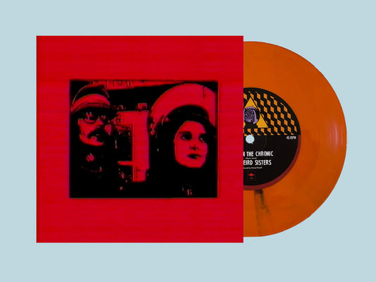 'Lost in the Chronic/Ride That Satellite' 7" Vinyl (Random Colors)